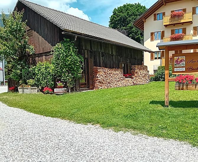 Bachlechnerhof - Galeria zdjęć Photo
