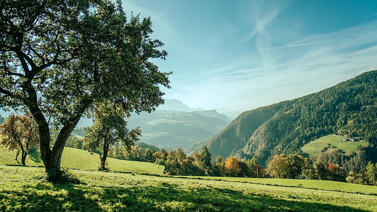 Telfnerhof - Galeria zdjęć Photo
