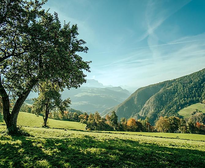 Telfnerhof - Galeria zdjęć Photo
