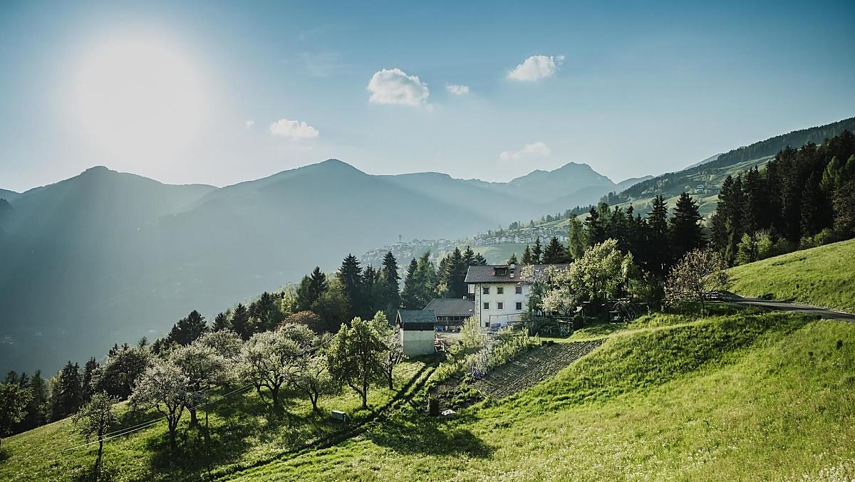 Telfnerhof - Galeria zdjęć Photo