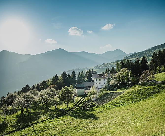 Telfnerhof - Galeria zdjęć Photo