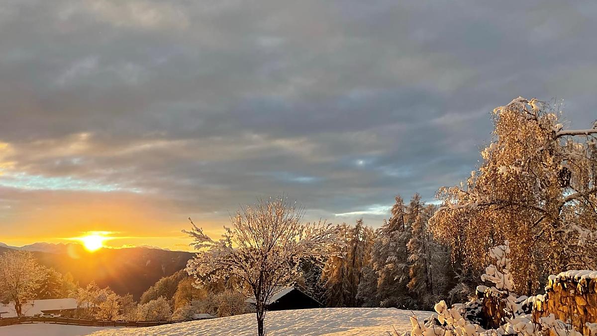 Trotnerhof - Galeria zdjęć Photo