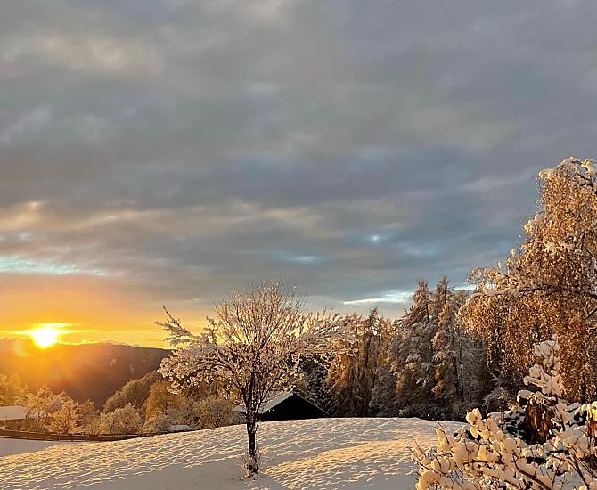 Trotnerhof - gallery Photo