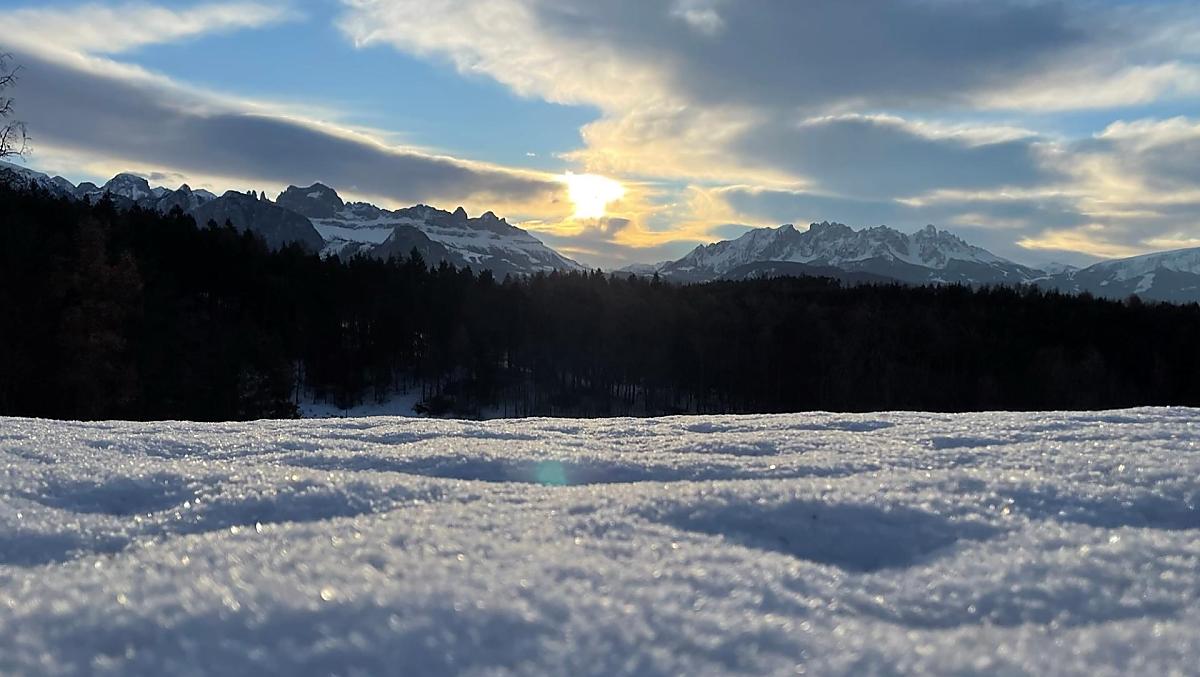 Trotnerhof - gallery Photo