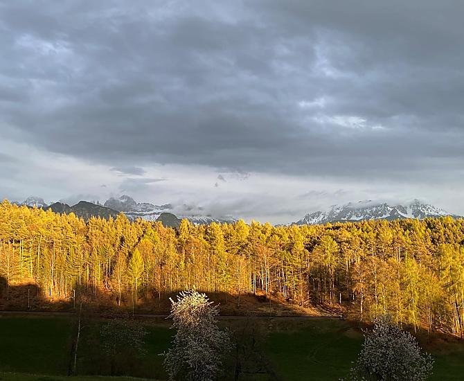 Trotnerhof - gallery Photo