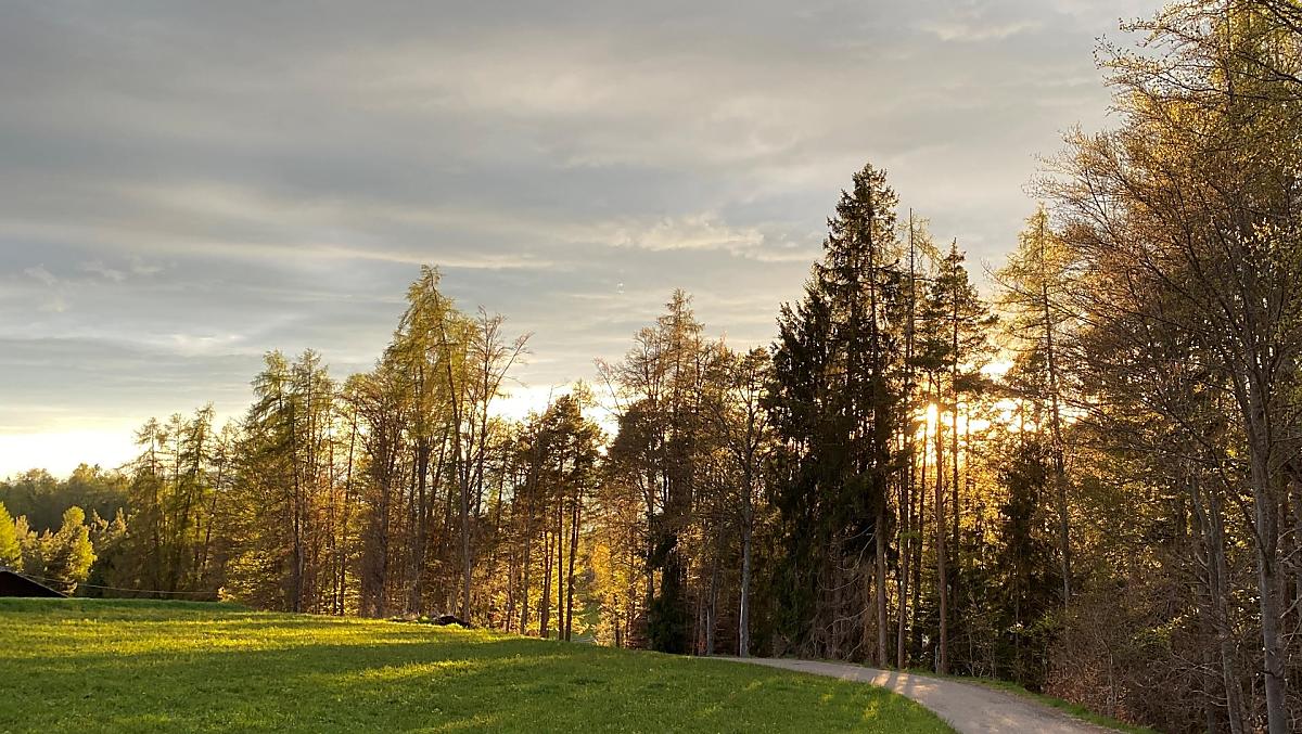 Trotnerhof - gallery Photo