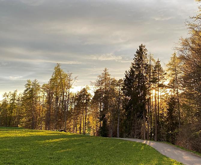 Trotnerhof - Galeria zdjęć Photo