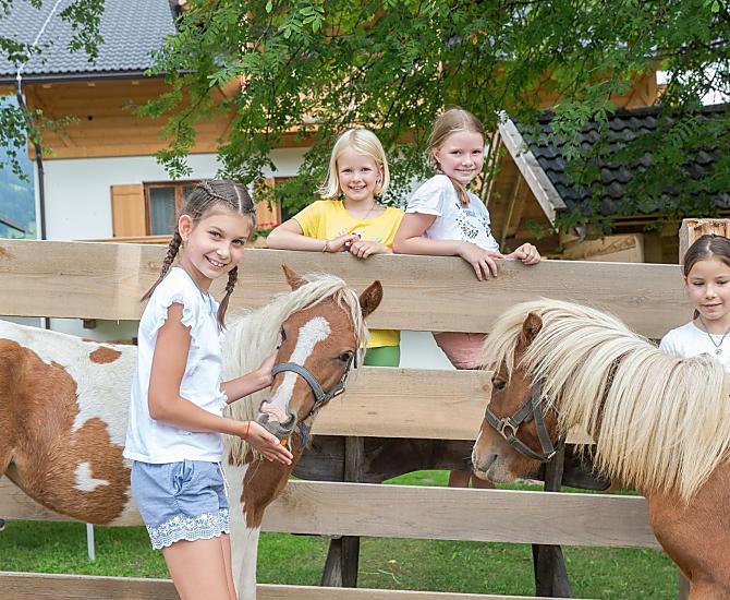 Bäckerhof - Galeria zdjęć Photo