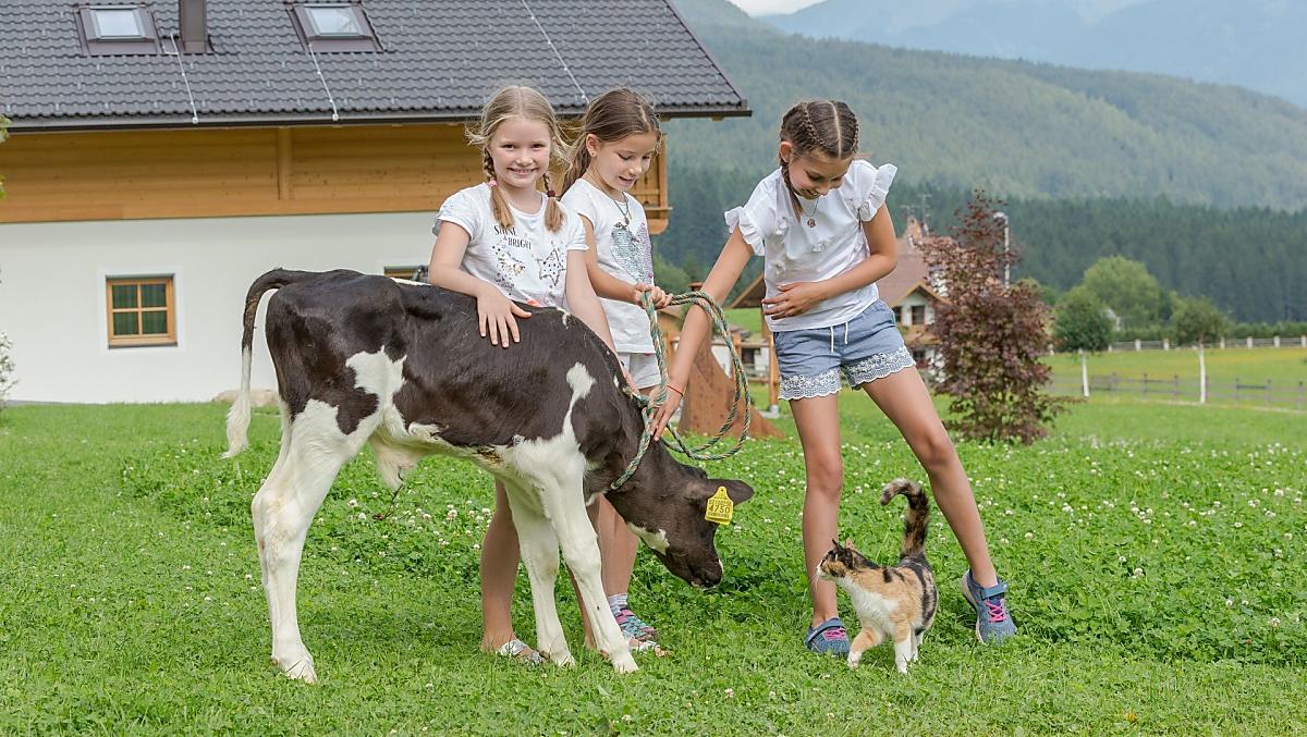 Bäckerhof - Galeria zdjęć Photo