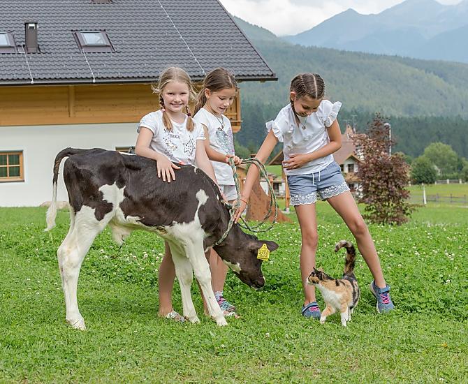 Bäckerhof - Galeria zdjęć Photo