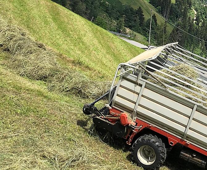 Zbiór siana na stromych zboczach