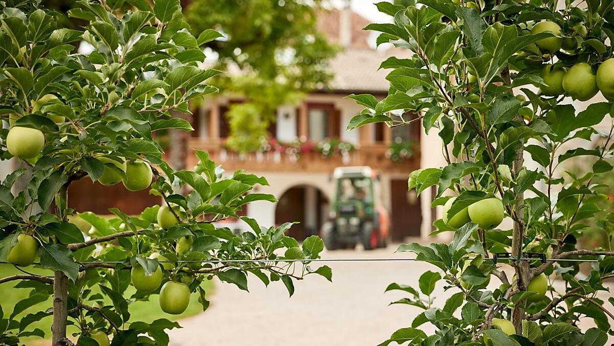 Linserhof - Galeria zdjęć Photo