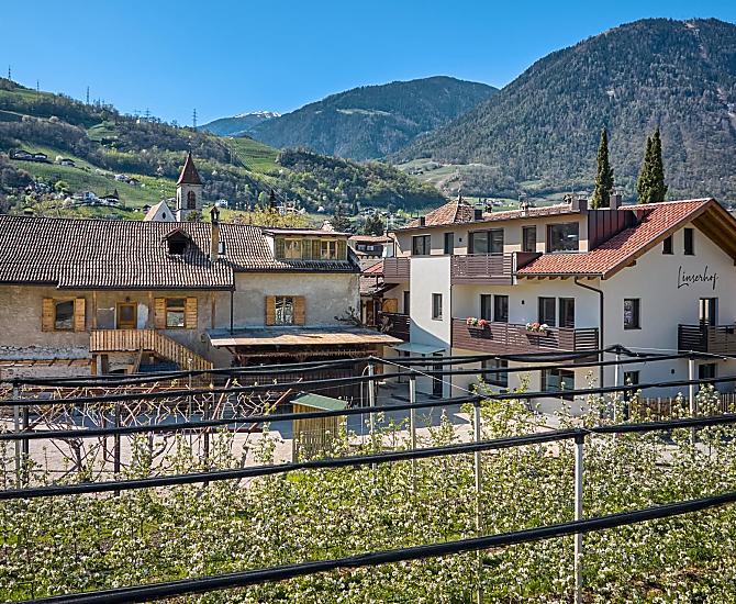 Linserhof - Galeria zdjęć Photo