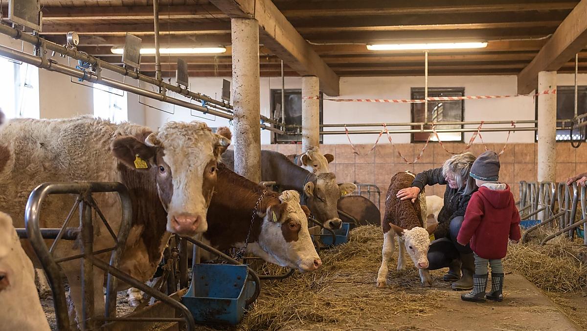 Doświadczenie stabilnej pracy - niezapomniane przeżycie dla młodych i starszych.