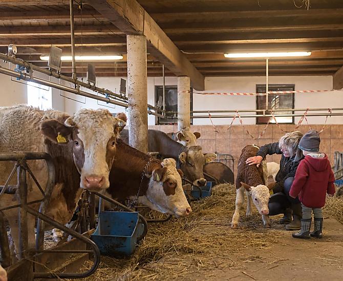 Doświadczenie stabilnej pracy - niezapomniane przeżycie dla młodych i starszych.