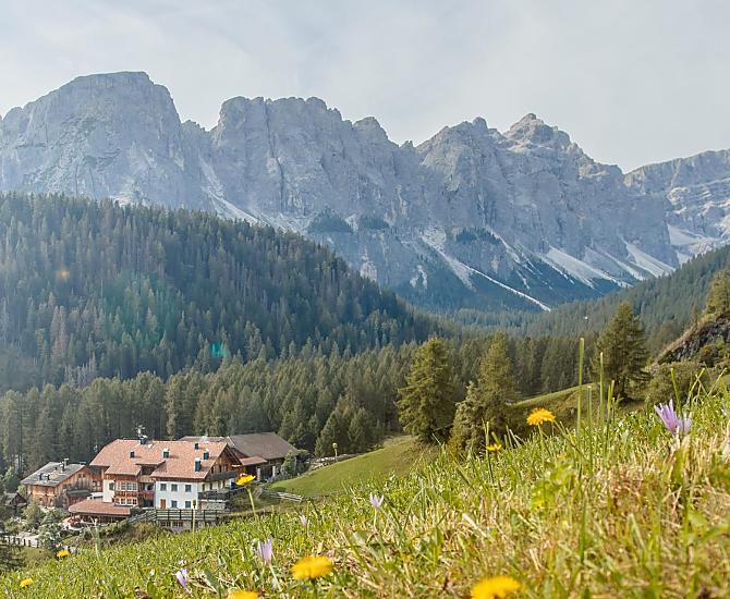 Tlisöra - Galeria zdjęć Photo