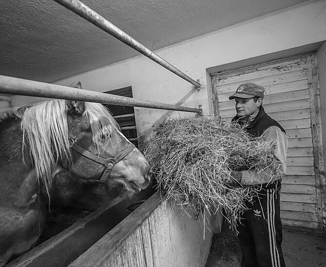 Bosc da Plan - Galeria zdjęć Photo