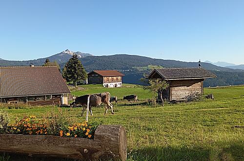 Schadnerhof - Opinie Photo