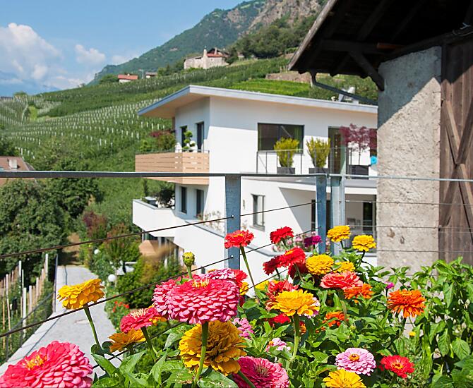 Der Frühling im Weinreichhof!