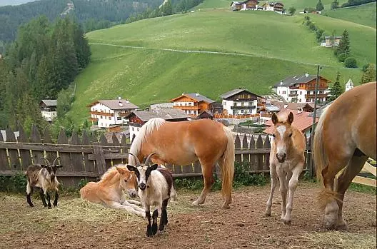 Parseidhof - Lista Photo