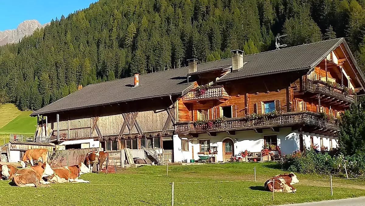 Vöstlerhof - Galeria zdjęć Photo