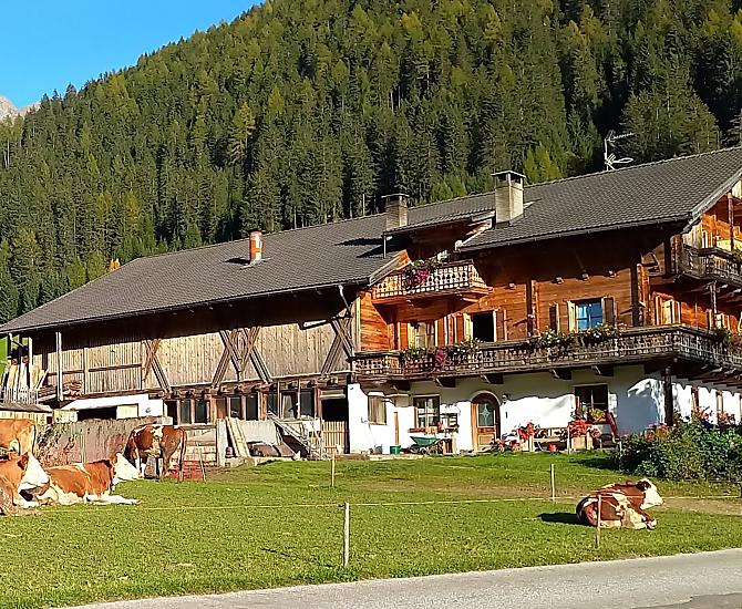 Vöstlerhof - Galeria zdjęć Photo